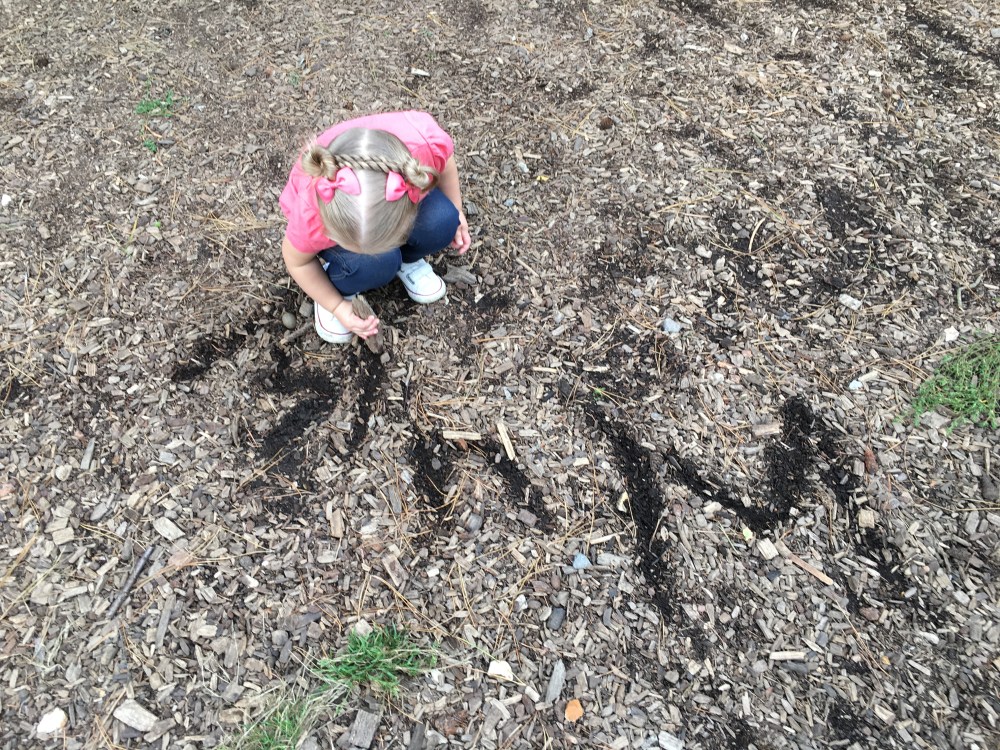 1B16956C-324E-46DA-AD40-4497DF04B0A7